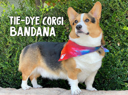 Tie-Dye Corgi Dog Bandana